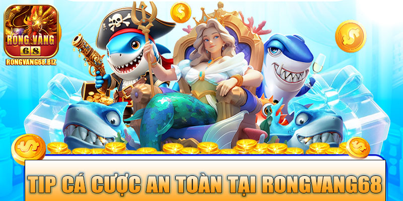 Tip Cá Cược An Toàn Tại Rongvang68 – Hướng Dẫn Dành Cho Người Mới