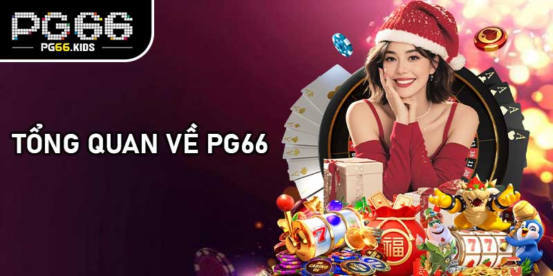Tổng quan về PG66